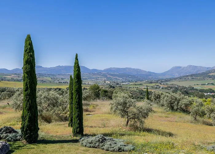 La Cimada De Villa *